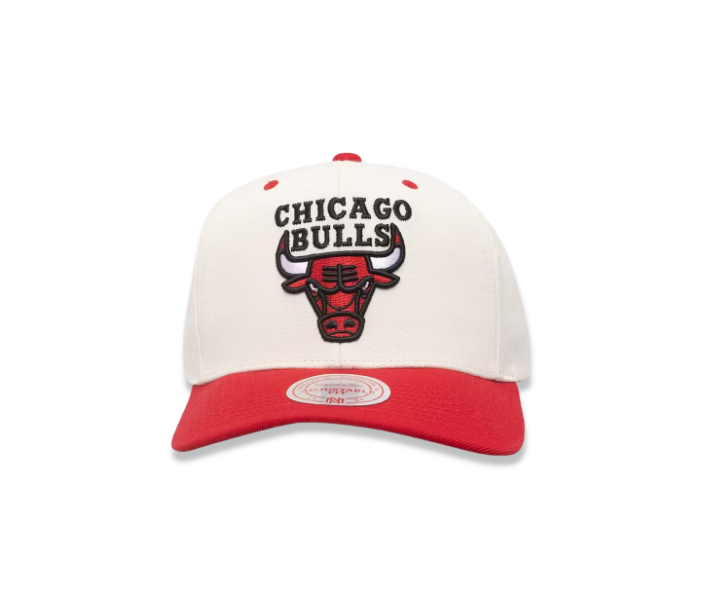 slide 1 - Chicago Bulls Go Team Go OG Snapback