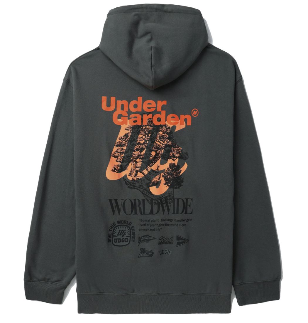 slide 1 - Worldwide Grey Hoodie
