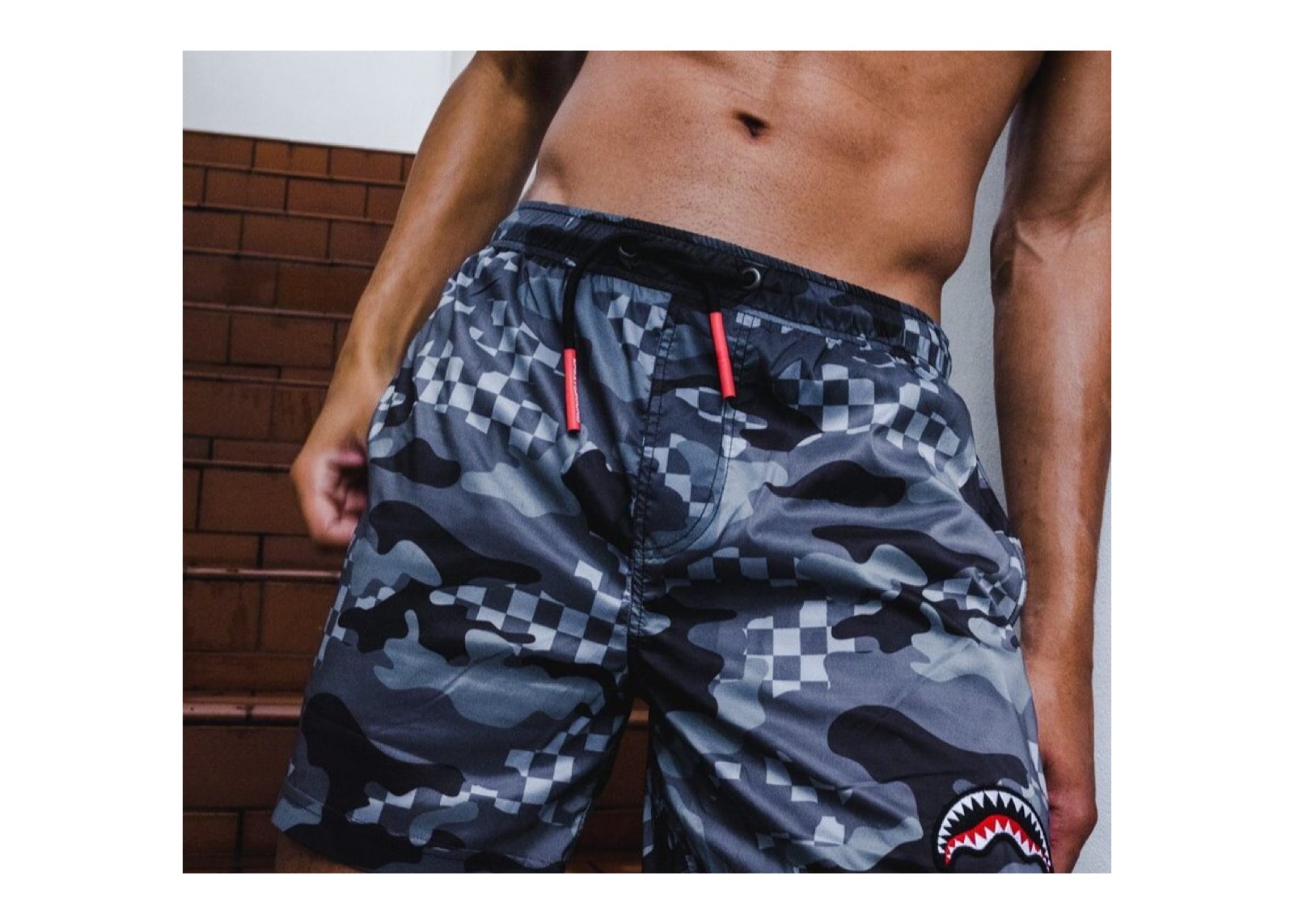 slide 3 - WTF Shark Swimtrunks