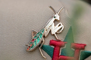 Mantis Pin